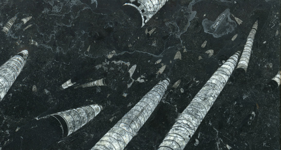 Weinregal-Krah-Natursteine-fossil-black